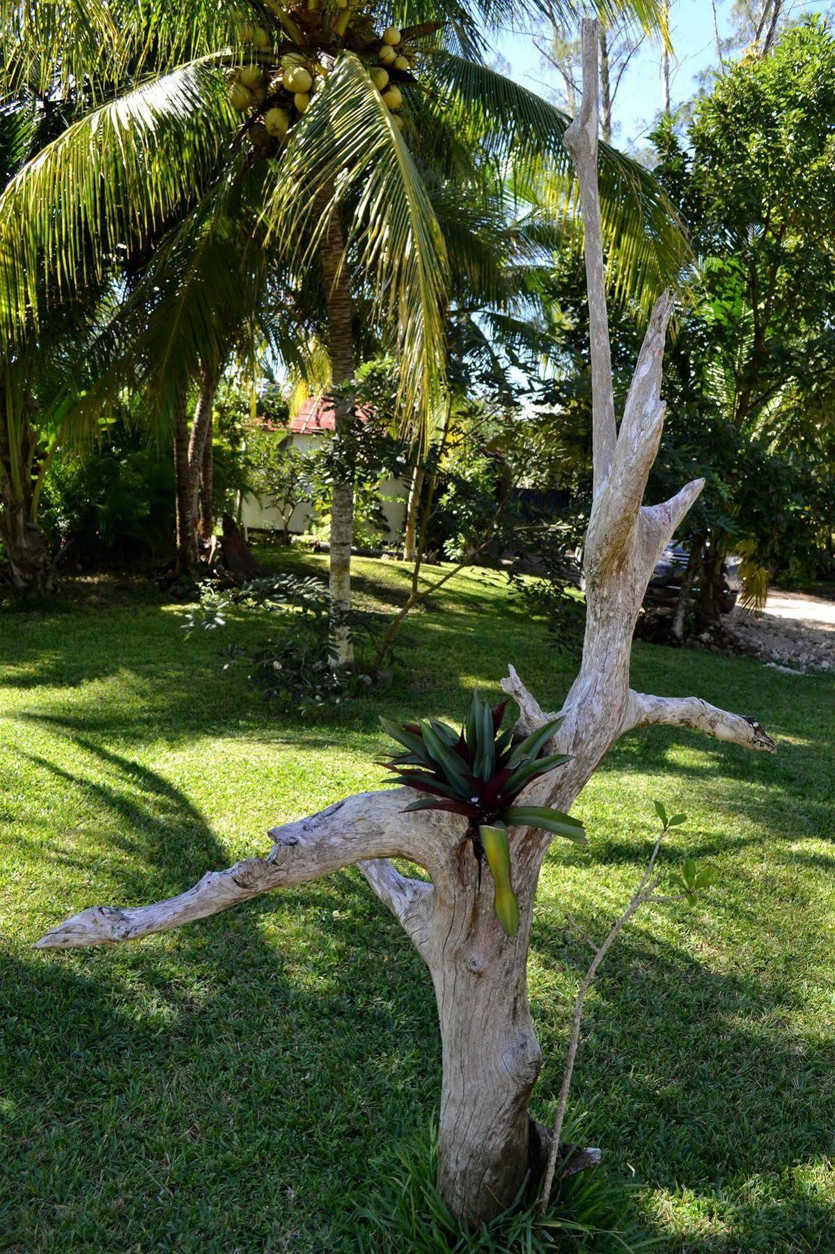 Casa Caracol Ξενοδοχείο Bacalar Εξωτερικό φωτογραφία